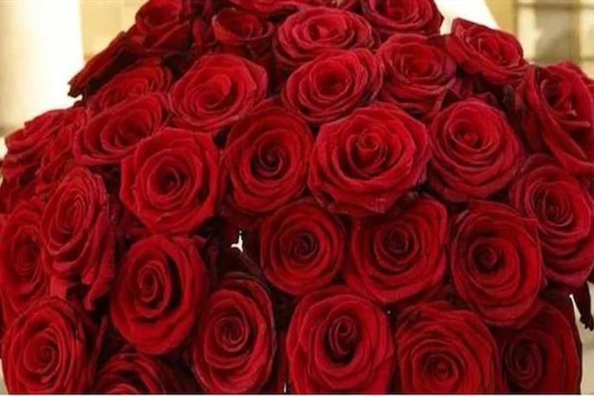 تفسير حلم الورد الأحمر للحامل