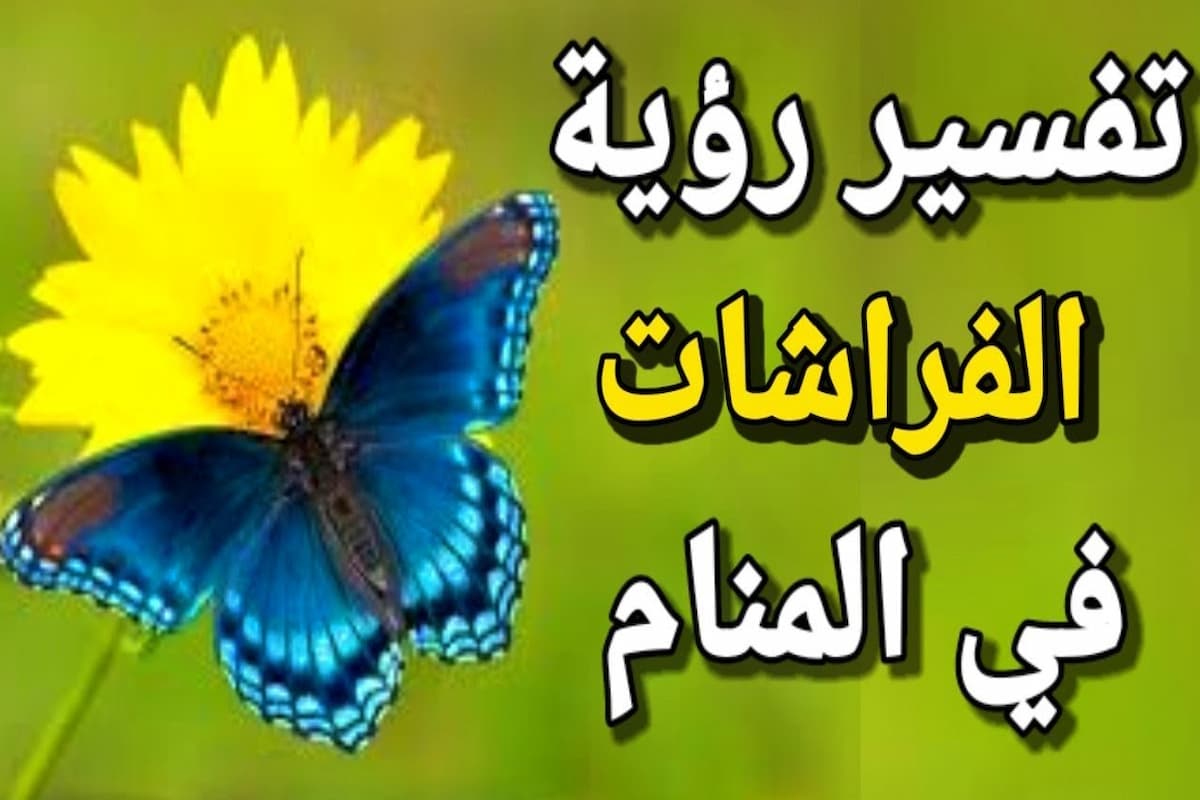 تفسير رؤية الفراشة في المنام