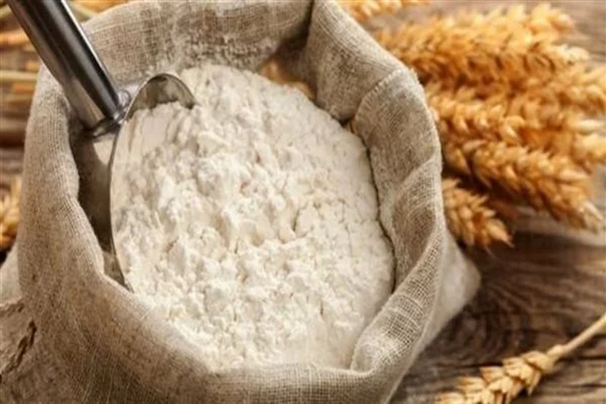 تفسير رؤية الفرينة في المنام