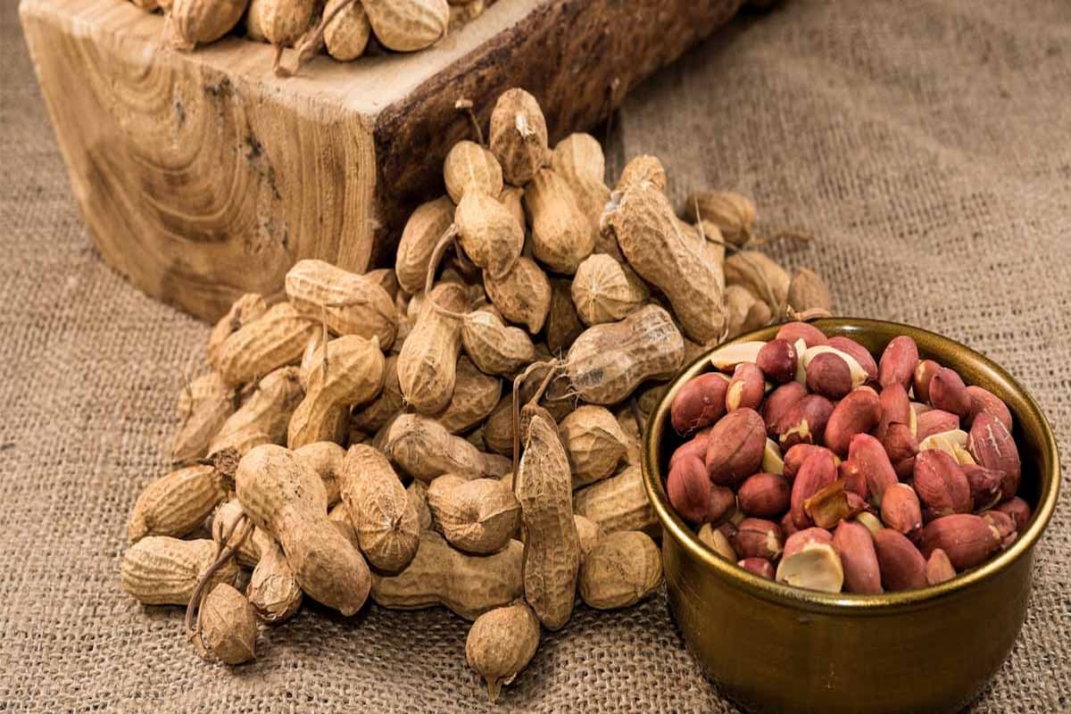 تفسير رؤية الفول السوداني في المنام