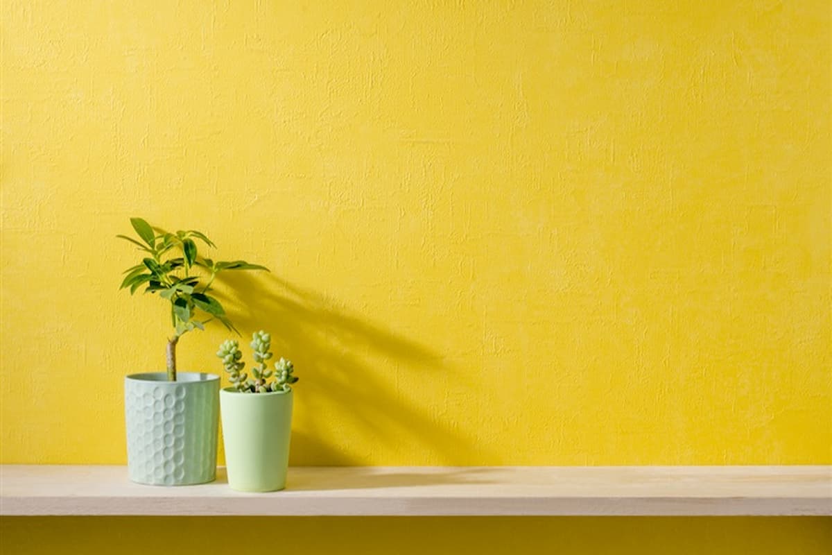 تفسير رؤية اللون الأصفر في المنام