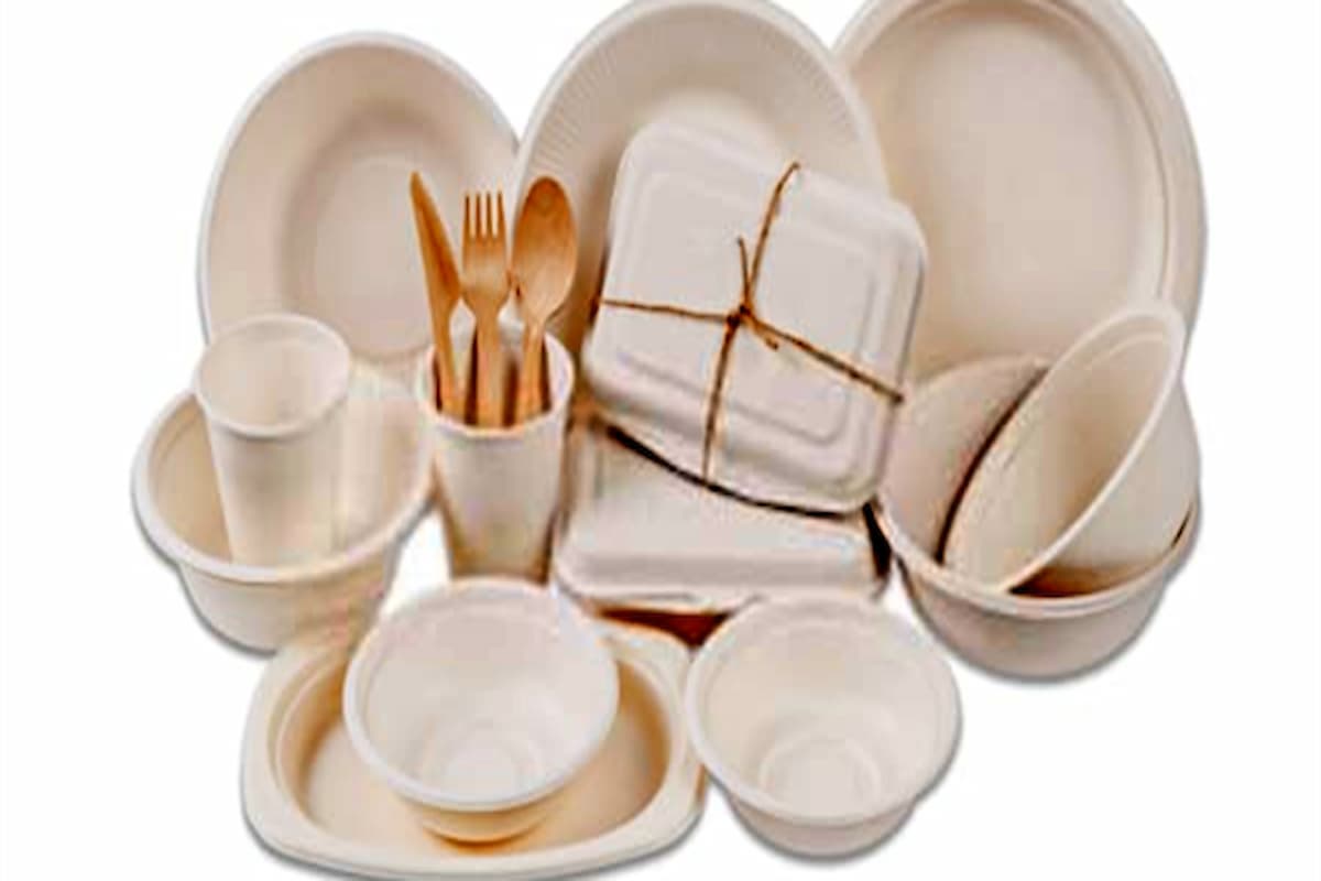 دراسة جدوى مشروع مصنع اطباق فوم