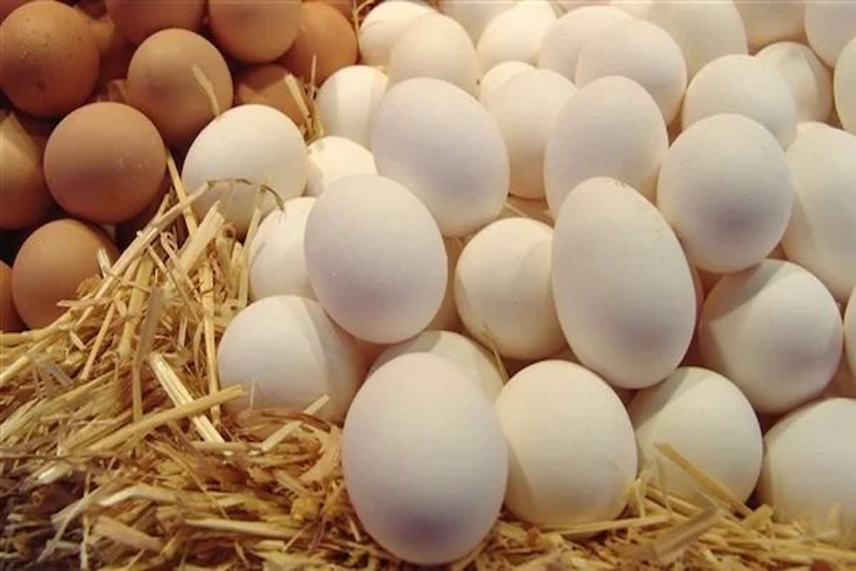 رؤية البيض في المنام للرجل