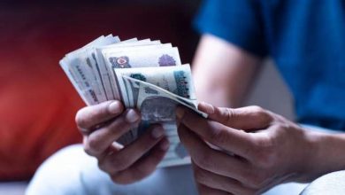 فكرة مشروع برأس مال 20 ألف جنية مصري