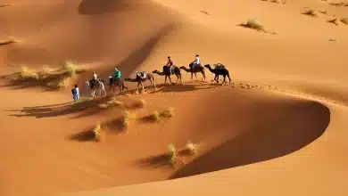 711 رمز اي قبيلة