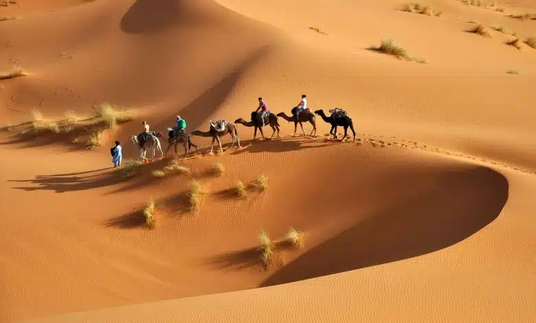 711 رمز اي قبيلة وأشهر أبنائها وفخوذها وأبرز فروع قبيلة يام 1 711 رمز اي قبيلة