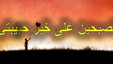 أجمل عبارات في المساء تصبح على خير لحبيبي