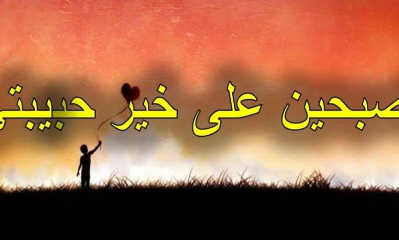 أجمل عبارات في المساء تصبح على خير لحبيبي