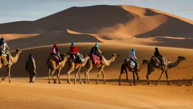 أصل عائلة الكندري
