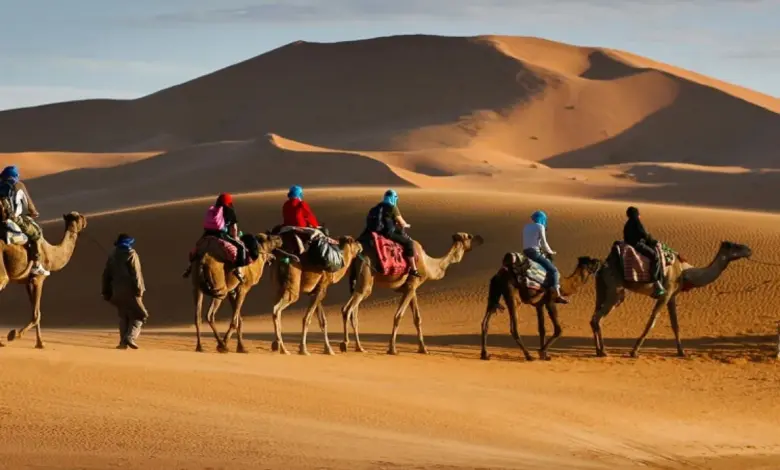 أصل عائلة الكندري