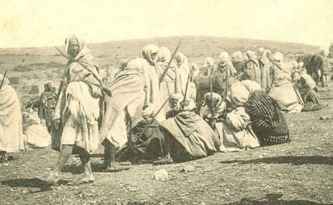 أفخاذ قبيلة الصلبة