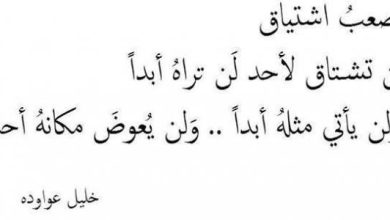 اجمل عبارات عن نفسي تعبر عن الشجن