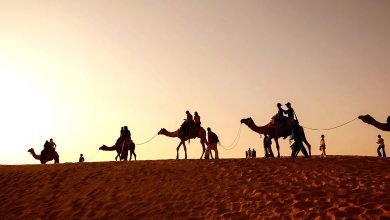 البناقي وش يرجع