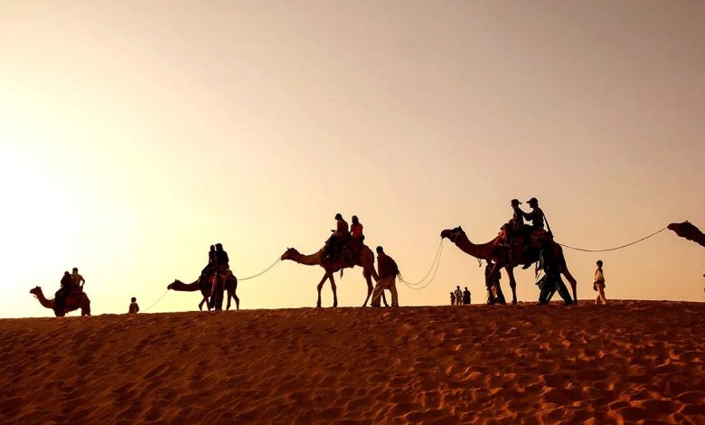 البناقي وش يرجع