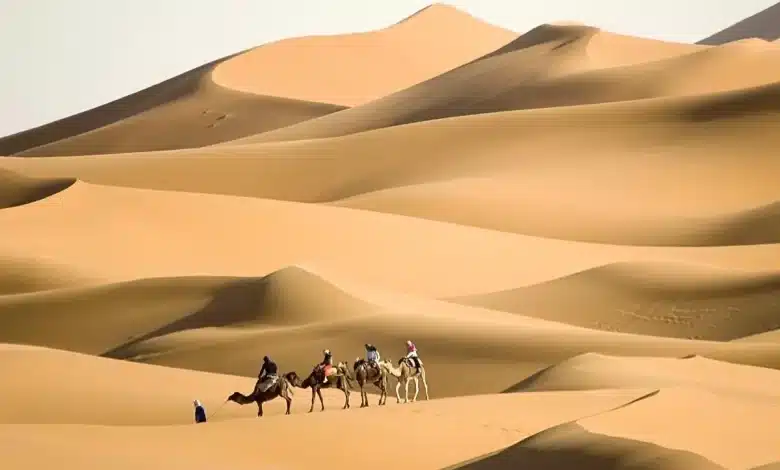 الدريويش وش يرجعون