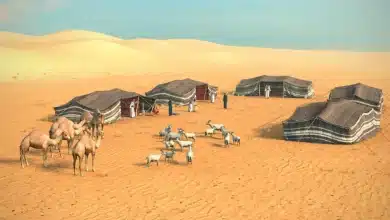 الرويلي وش يرجع وما أصلهم