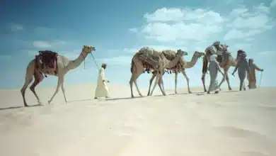 السبيعي وش يرجع