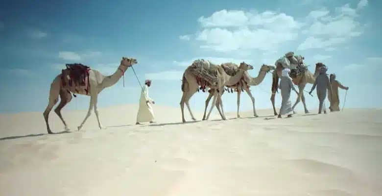 السبيعي وش يرجع