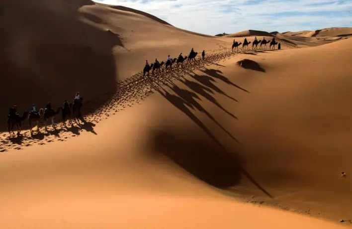 العلويط وش يرجع؟ وما هو أصل العائلة؟ 1 العلويط وش يرجع