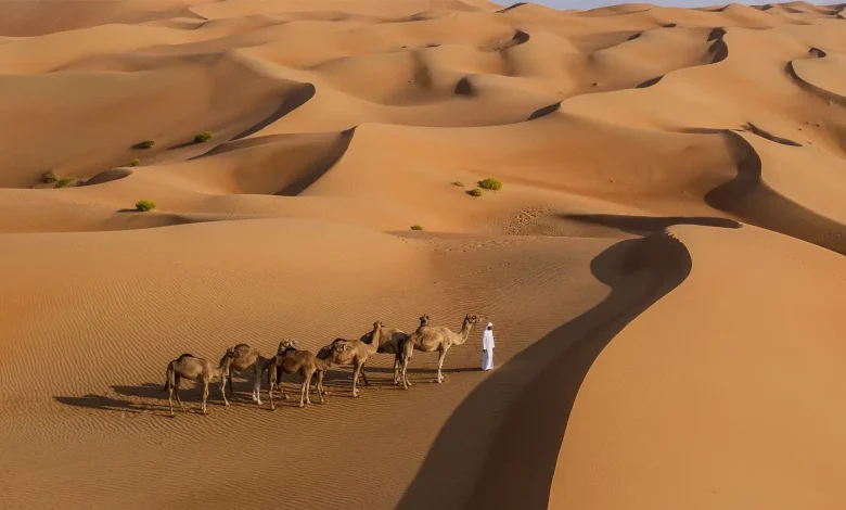 اللحيدان وش يرجعون