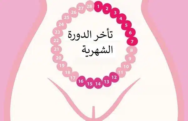 سبب تاخر الدورة الشهرية للعزباء