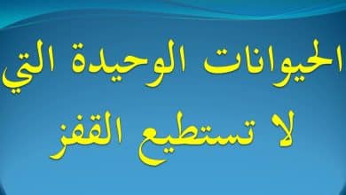 ما هو الحيوان الذي لا يستطيع القفز