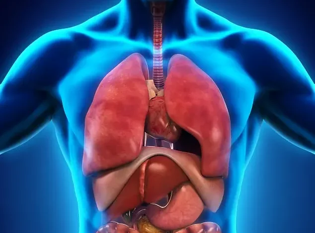 أسرار جسم الإنسان