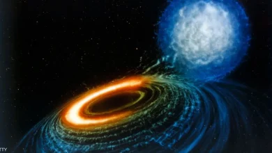 الثقوب السوداء والنجوم النيوترونية