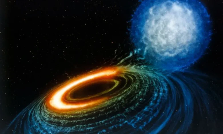 الثقوب السوداء والنجوم النيوترونية