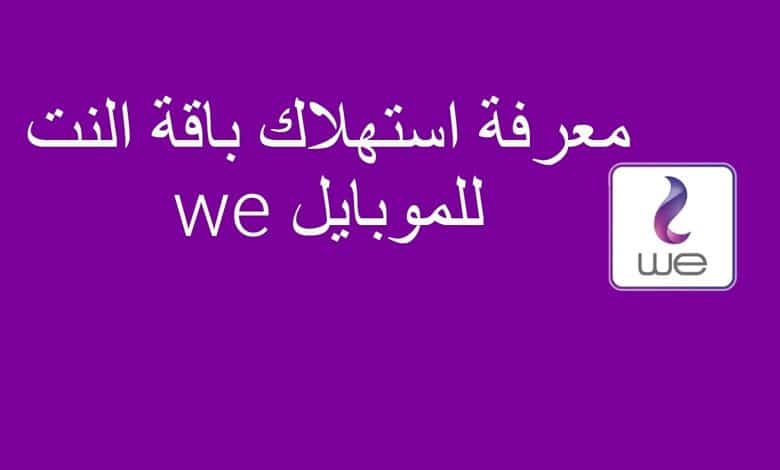 خطوات معرفة استهلاك النت الأرضي we برقم التليفون