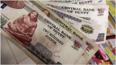 صرف منحة العمالة غير المنتظمة