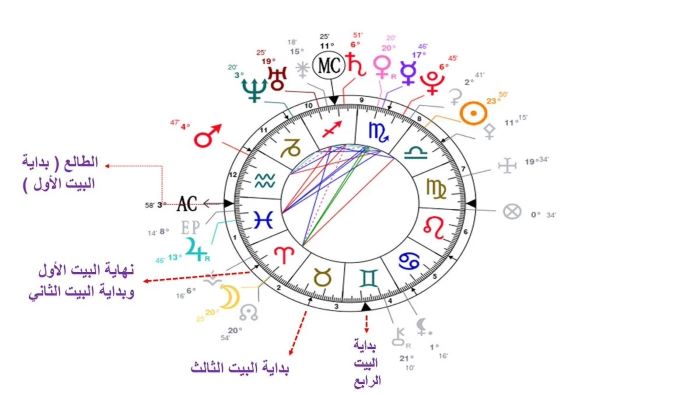 خريطة الحب الفلكية: الأبراج الأكثر رومانسية ووفاءً في العلاقات الزوجية.. اعرفها من هنا 1 خريطة الحب الفلكية