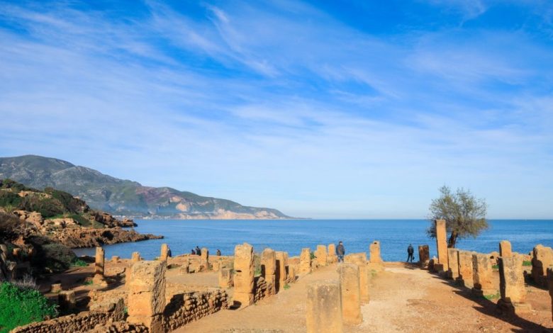 كم تبلغ مساحة تيبازة؟! مساحة ولاية الجزائرية