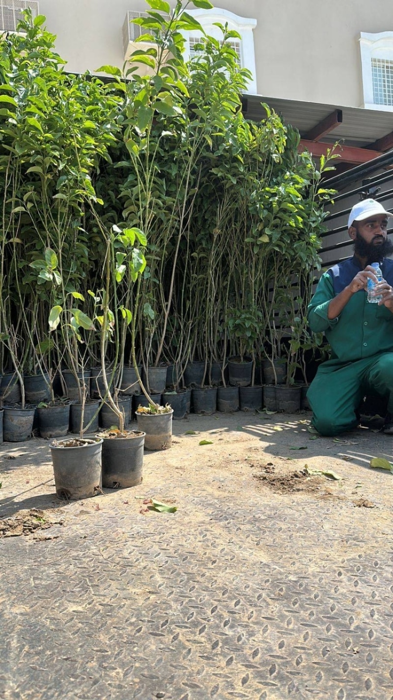 2479690.jpgw800q100fjpg