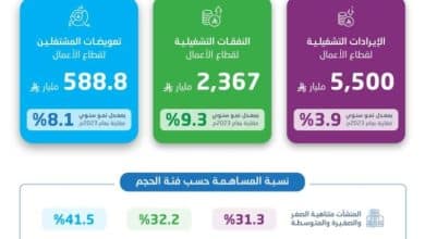 زيادة نسبة الإيرادات التشغيلية في قطاع الأعمال تصل إلى 3.9% خلال عام 2024 في مجال الإحصاء 4 2480329.jpgw800q100fjpg