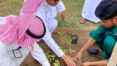 2480839.jpgw800q100fjpg