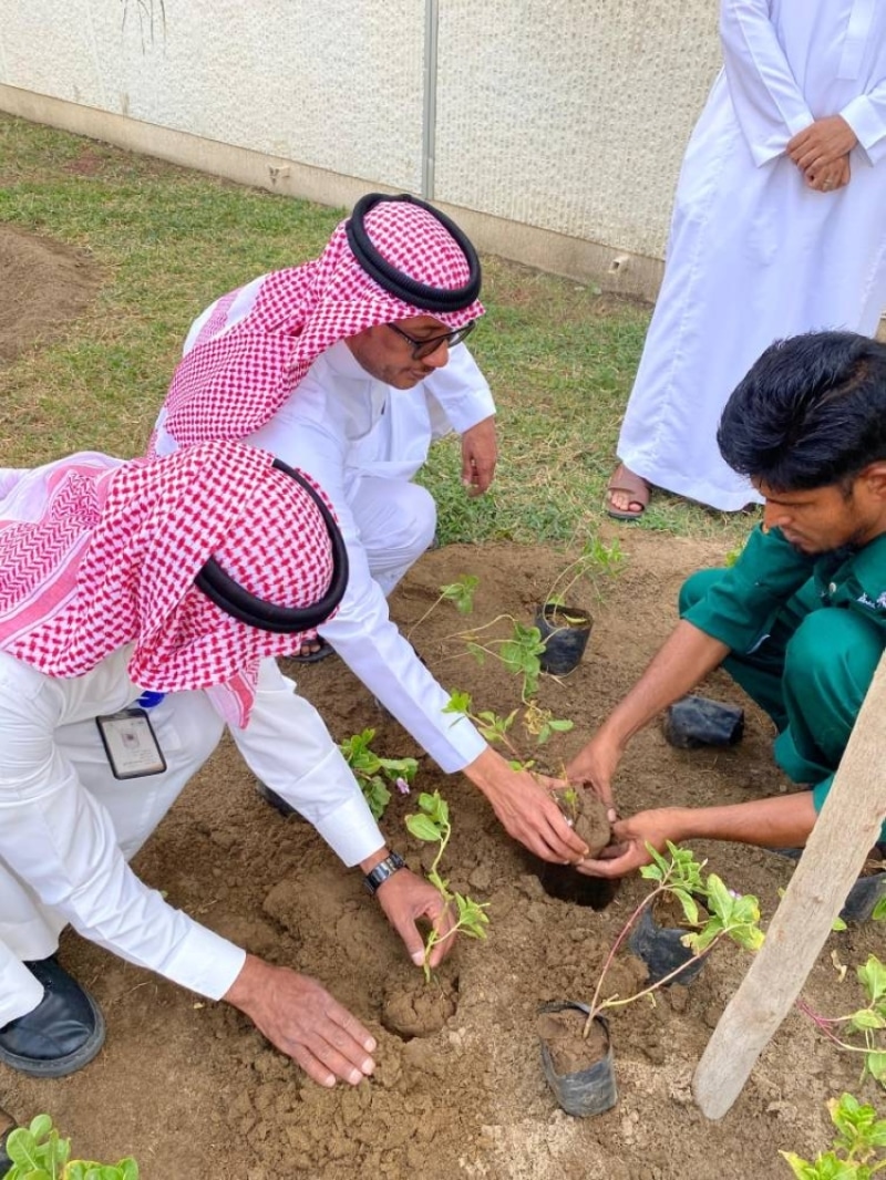 2480839.jpgw800q100fjpg