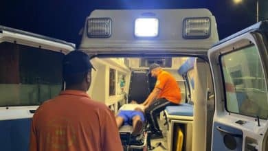 2480937.jpgw800q100fjpg