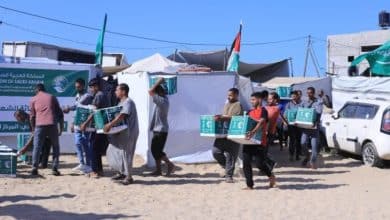 2481889.pngw800q100fjpg