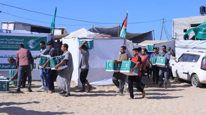 2481889.pngw800q100fjpg