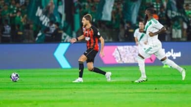 2482096.jpgw800q100fjpg