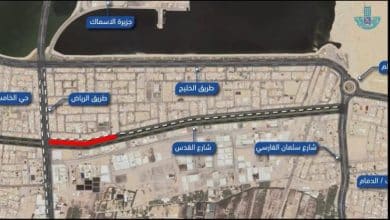 2482153.jpgw800q100fjpg