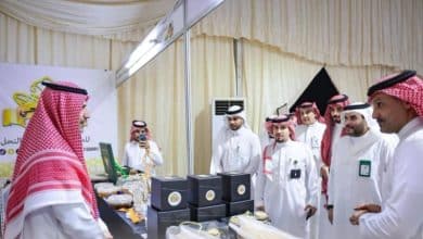 2482581.jpgw800q100fjpg