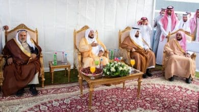 2482713.jpgw800q100fjpg