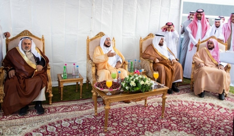 2482713.jpgw800q100fjpg