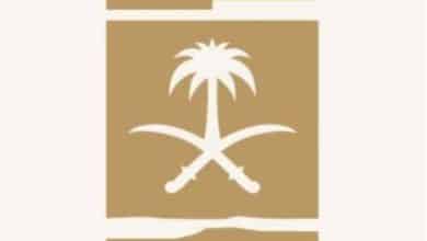 2482759.jpgw800q100fjpg