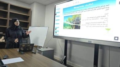 2482830.jpgw800q100fjpg