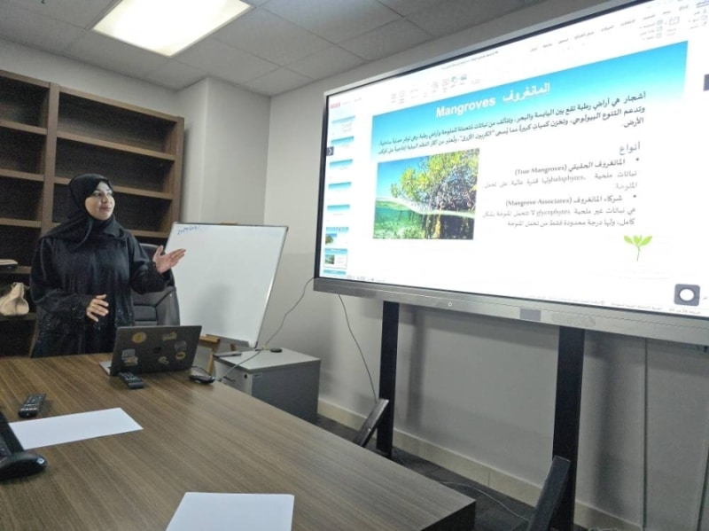 2482830.jpgw800q100fjpg