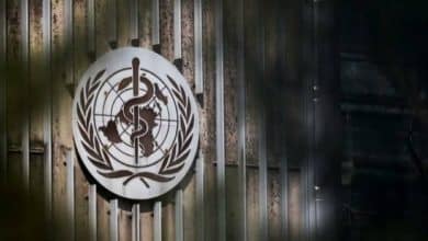 2483034.jpgw800q100fjpg