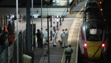 2483035.jpgw800q100fjpg